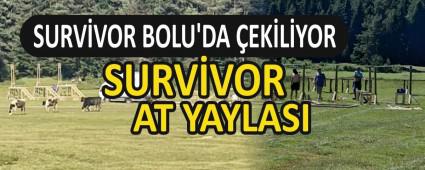 SURVVOR BOLU\'DA EKLYOR