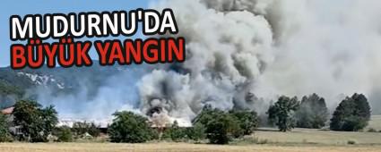 MUDURNU\'DA BYK YANGIN