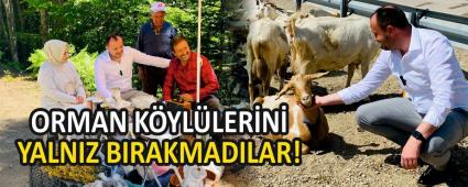 ORMAN KYLLERN YALNIZ BIRAKMADILAR!