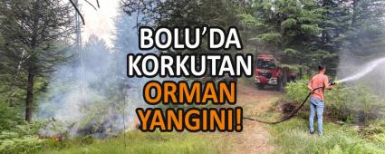 BOLU\'DA KORKUTAN ORMAN YANGINI!