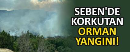SEBEN\'DE KORKUTAN ORMAN YANGINI!