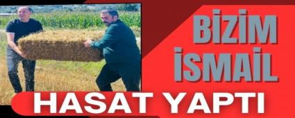 Bizim smail hasat yapt