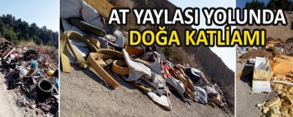 AT YAYLASI YOLUNDA  DOA KATLAMI
