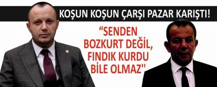 KOUN KOUN ARI PAZAR KARITI!