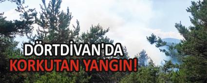 DRTDVAN\'DA KORKUTAN YANGIN!