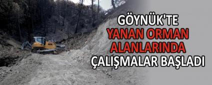 GYNK\'TE YANAN ORMAN ALANLARINDA ALIMALAR BALADI