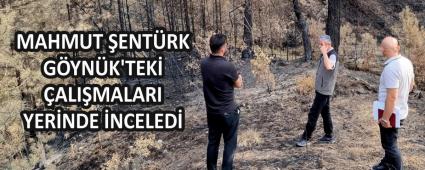 MAHMUT ENTRK GYNK\'TEK ALIMALARI YERNDE NCELED