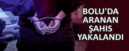 BOLU\'DA ARANAN AHIS YAKALANDI