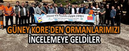 GNEY KORE\'DEN ORMANLARIMIZI NCELEMEYE GELDLER