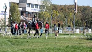 Kamps Karlama Festivalinde 5. Gn