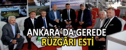 ANKARADA GEREDE RZGRI EST    
