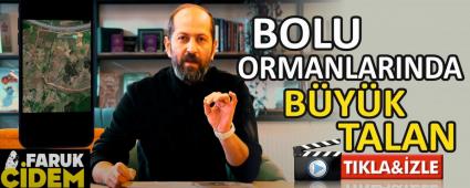 BOLU ORMANLARINDA BYK TALAN