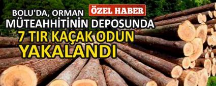 BOLU\'DA, ORMAN MTEAHHTNN DEPOSUNDA 7 TIR KAAK ODUN YAKALANDI