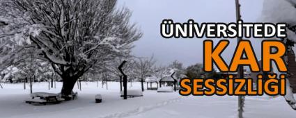 NVERSTEDE KAR SESSZL