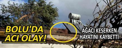 Bolu\'da, atdaki aac keserken hayatn kaybetti