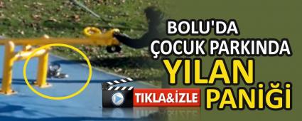 BOLU\'DA OCUK PARKINDA YILAN PAN