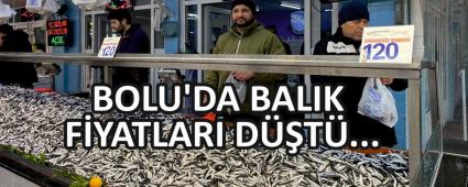 BOLU\'DA BALIK FYATLARI DT...