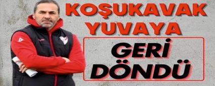 Koukavak yuvaya geri dnd