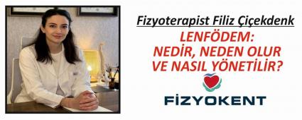 LENFDEM: NEDR, NEDEN OLUR VE NASIL YNETLR?