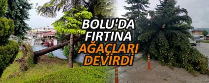 BOLU\'DA FIRTINA AALARI DEVRD