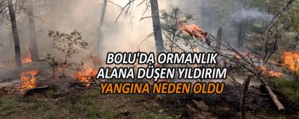 BOLU\'DA ORMANLIK ALANA DEN YILDIRIM YANGINA NEDEN OLDU