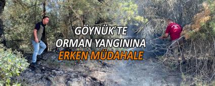 GYNK\'TE ORMAN YANGININA ERKEN MDAHALE