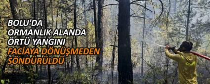 BOLU\'DA ORMANLIK ALANDA RT YANGINI FACAYA DNMEDEN SNDRLD