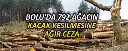 BOLU\'DA 792 AACIN KAAK KESLMESNE AIR CEZA