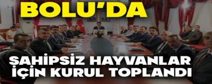 BOLU\'DA SAHPSZ HAYVANLAR N KURUL TOPLANDI