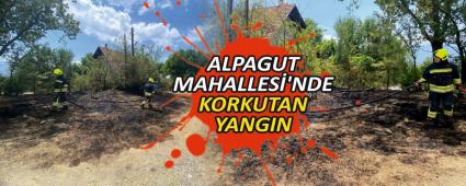 ALPAGUT MAHALLES\'NDE KORKUTAN YANGIN