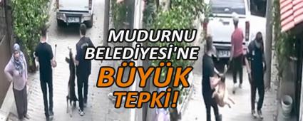 Hayvan severler ayakta!