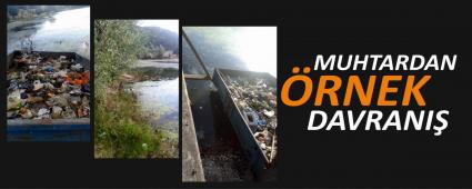 MUHTARDAN RNEK DAVRANI