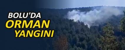 BOLU\'DA ORMAN YANGINI