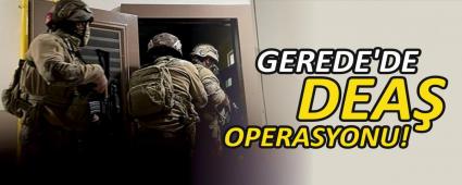 GEREDE\'DE DEA OPERASYONU!