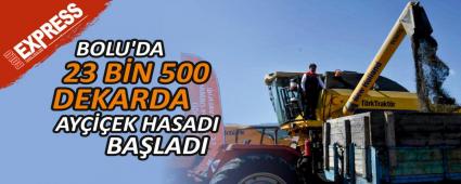 BOLU\'DA 23 BN 500 DEKARDA AYEK HASADI BALADI