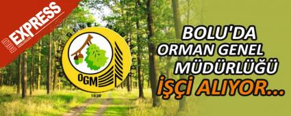 BOLU\'DA ORMAN GENEL MDRL  ALIYOR...