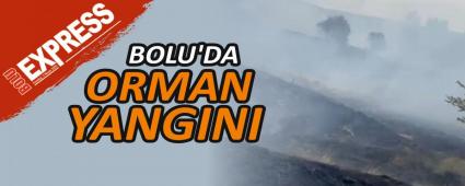 BOLU\'DA ORMAN YANGINI