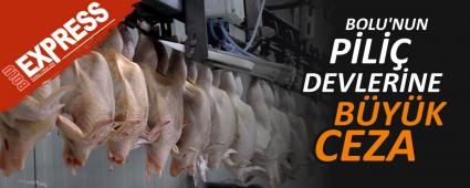 BOLU\'NUN PL DEVLERNE BYK CEZA