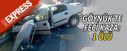 GYNK\'TE FEC KAZA: 1 L