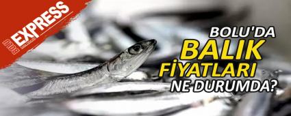 BOLU\'DA BALIK FYATLARI NE DURUMDA?