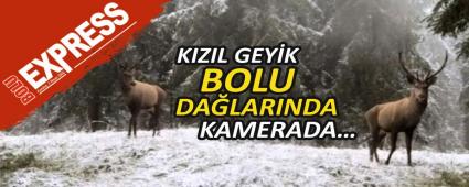 KIZIL GEYK BOLU DALARINDA KAMERADA