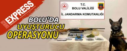 BOLU\'DA UYUTURUCU OPERASYONU