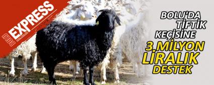 BOLU\'DA TFTK KESNE 3 MLYON LRALIK DESTEK