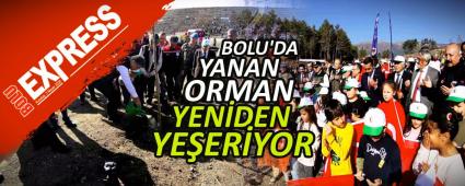 BOLU'DA YANAN ORMAN YENDEN YEERYOR
