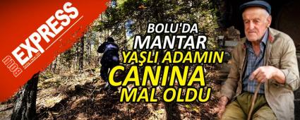 BOLU'DA MANTAR YALI ADAMIN CANINA MAL OLDU