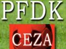 PFDKdan �ok a��r cezalar!