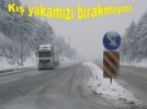 K�� geri d�nd�