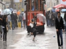 Bol ya��� devam edecek