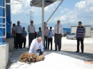 �antiye i�in kurban kestirildi