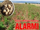 Patates �reticilerine uyar�